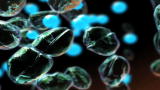 Space: Top 5 Cases For Martian Life