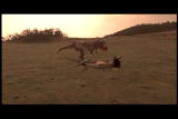 Mammals Vs. Dinos: T Rex Families