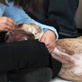 Petfinder: Thanksgiving Tips