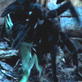 Killer Clips: Tarantula Kills a Lizard