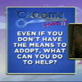 play video on Animal Planet