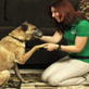 Petfinder: Wave 2