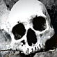 Into the Unknown: Scent of a Mummy!
