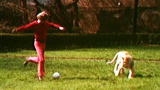 A Lion Called Christian: Christian the Lion Plays Football