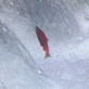 Happy Mother's Day: Salmon