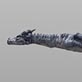 Dragons: Marine Dragon 360-Degree View