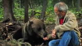Stranger Among Bears: Feeding Bears in Alaska