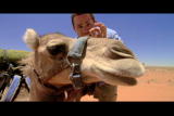 play video on Animal Planet