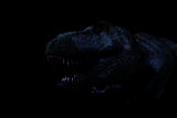 Dinosaurs: Tyrannosaurus: Airhead
