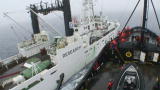 Whale Wars: As Bad as Our Bark (Full Episode)