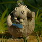 Creature Comforts: Hippos and Water Conservation