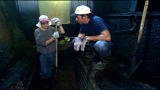 Dirty Jobs: Smokehouse Pit Cleaner