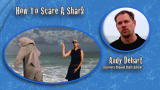Shark Week 101: How To Scare A Shark