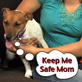Petfinder: Pets and Fireworks