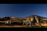play video on Discovery Channel