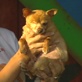 World's Ugliest Dog: Classic Jake