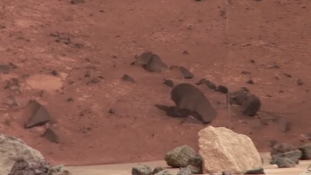 Why? Tell Me Why!: Red Planet