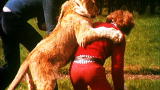 A Lion Called Christian: Christian the Loving Lion