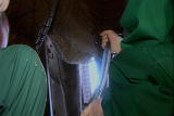 Weird True & Freaky: Artificial Insemination