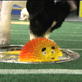 Puppy Bowl IV: Puppy Action