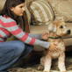 Petfinder: Hide 'n' Seek