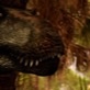 Valley of the T-Rex: Brain Clues
