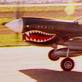 World's Deadliest Aircraft: P-40 Warhawk