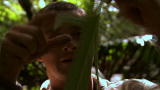 Man vs. Wild: Campfire Tales