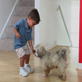 Petfinder: Tips for Kids and Dogs