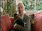 play video on Animal Planet