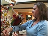 Animal Cops San Francisco: Macaw Madness
