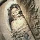 Egypt Week Live 2004: World's Largest Cemetery: The She ...