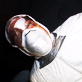 Dirty Jobs: Ship Boiler Cleaner