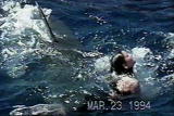 Weird True & Freaky: Open Pacific Shark Attack