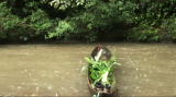 Survivorman 2 Shorts: Amazon - Shelter