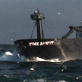 Deadliest Catch: Hillstrands Fish for Life