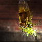 Time Warp: Glass Bottle Eruption