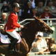 World Sporthorse Championships: Sapphire Profile