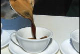 After Midnight Shorts: Cuban Coffee