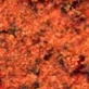 Space: Top 5 Mars Phoenix Lander Images