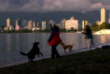 Planet's Best: Vancouver Dog Park