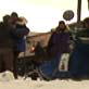 Iditarod: And They're Off