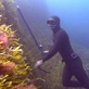Discovery Atlas: Italy Revealed: Freediving in Sicily